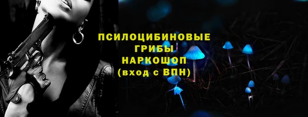 гашик Алзамай
