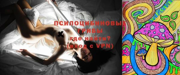 гашик Алзамай