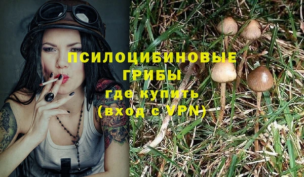 эйфоретик Алексин