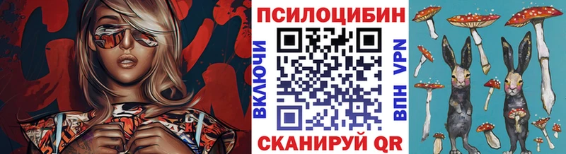 Галлюциногенные грибы MAGIC MUSHROOMS  где купить   площадка официальный сайт  Ковылкино 