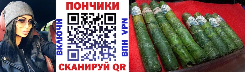 купить закладку  Ковылкино  Бошки марихуана сатива 